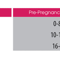 Maternity Support Bands